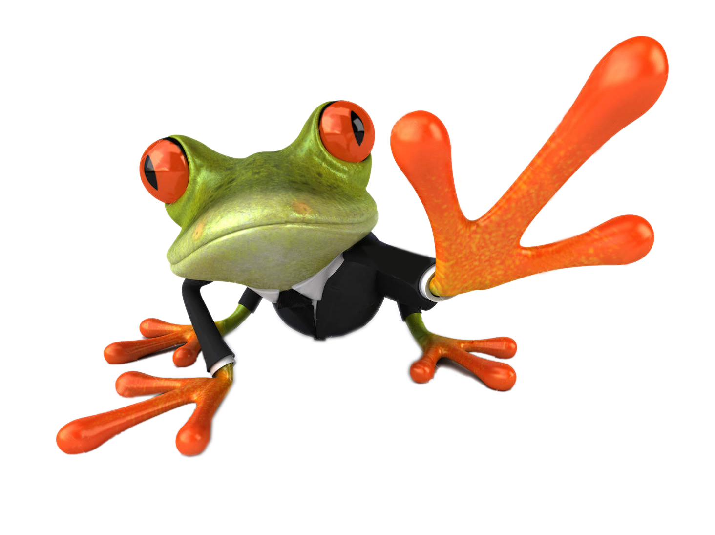 WebSkrill BDIX Mini Frog Mascot