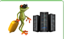 BDIX Frog Badge