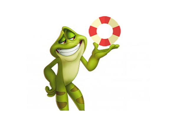 Dedicated Frog Support