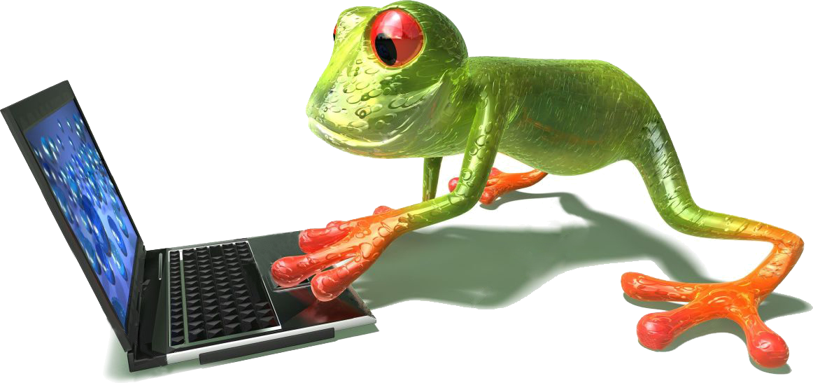 WebSkrill DevOps Frog Engineer